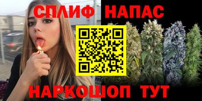 мдпв Можайск