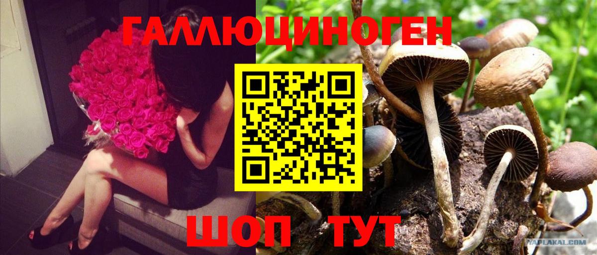 Воткинск  Галлюциногенные грибы мухоморы  Псилоцибиновые грибы Magic Shrooms  Вход с VPN 