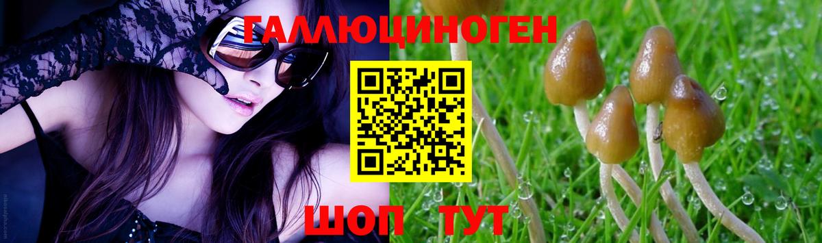 Галлюциногенные грибы GOLDEN TEACHER Воткинск